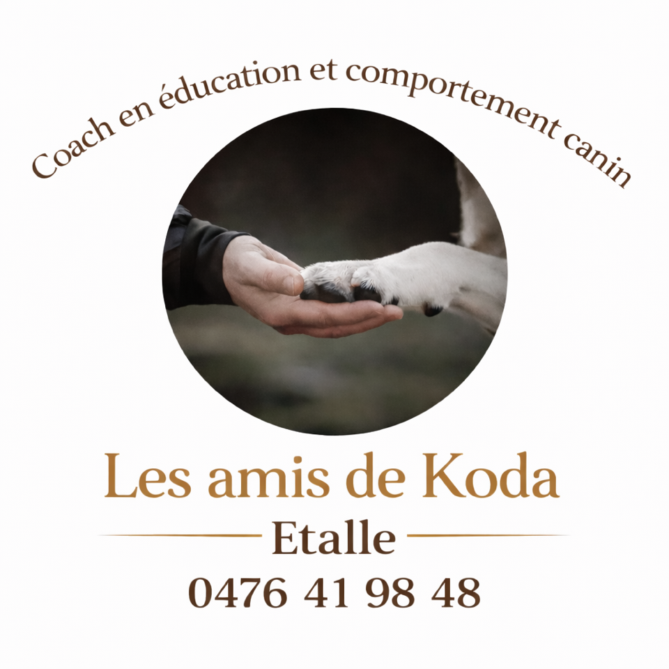 Les Amis de Koda — Coach en éducation et comportement canin